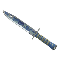 خرید ★ Bayonet | Bright Water