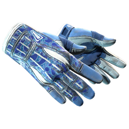 خرید ★ Sport Gloves | Amphibious