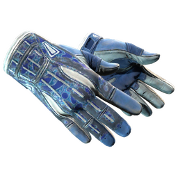 خرید ★ Sport Gloves | Amphibious