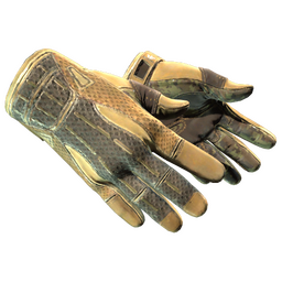 خرید ★ Sport Gloves | Arid